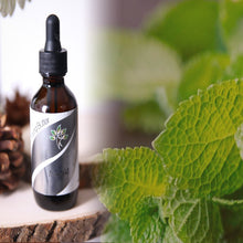 Load image into Gallery viewer, Young Butter Beard Oil - Peppermint